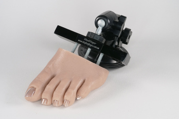 Flexifoot for practice on toes $125.00 Product Photo