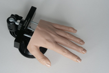 The New Flexifinger Training  Hand  $129.95 Product Photo