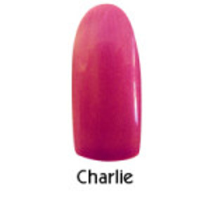 Perfect Nails Coloured Gel Charlie  8g Product Photo